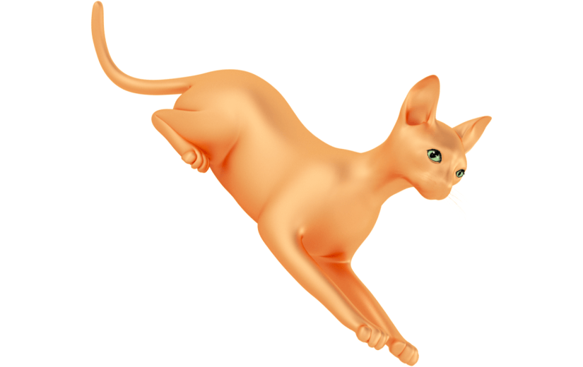 创意3d立体创意猫元素