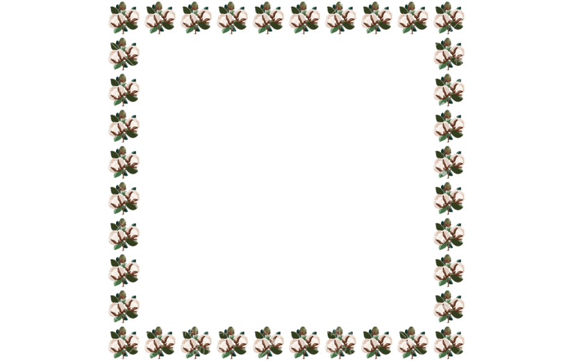 元素卡通手绘立秋边框