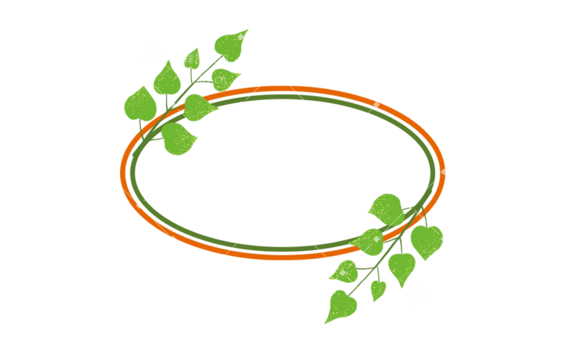 元素手绘风格夏日植物边框元素