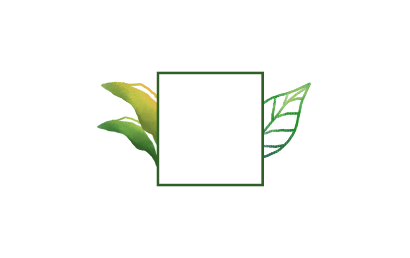 元素 水彩植物 边框纹理 ppt元素 花框