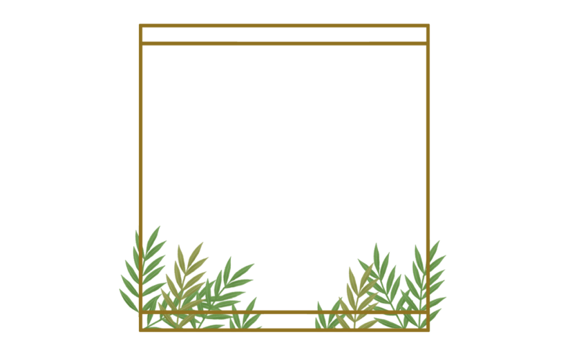 草丛边框素材