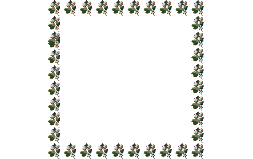 元素卡通手绘立秋边框