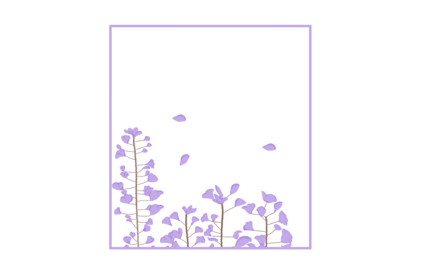 素材花卉边框