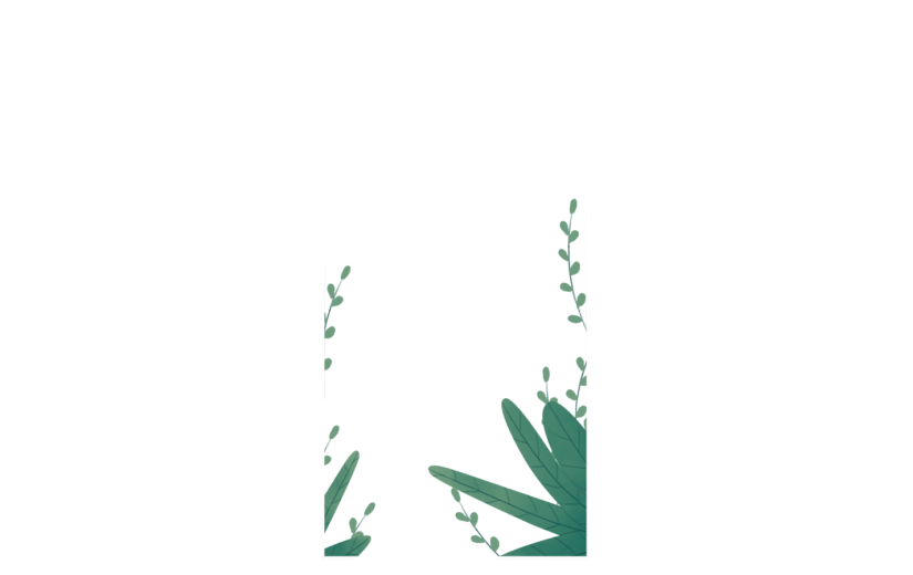 素材植物边框文理