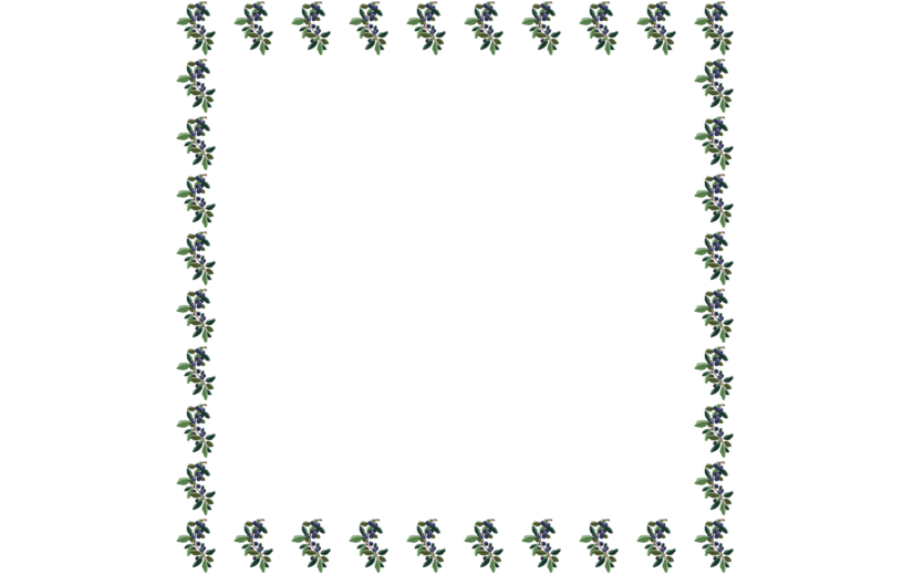 元素卡通手绘立秋边框