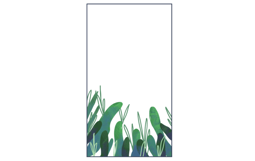 素材卡通绿植边框装饰