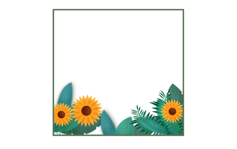 向日葵花卉边框
