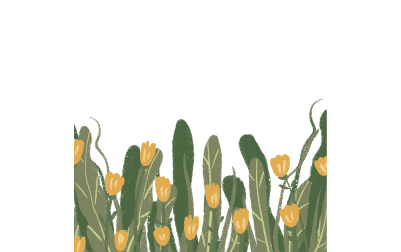 素材卡通花卉绿植装饰