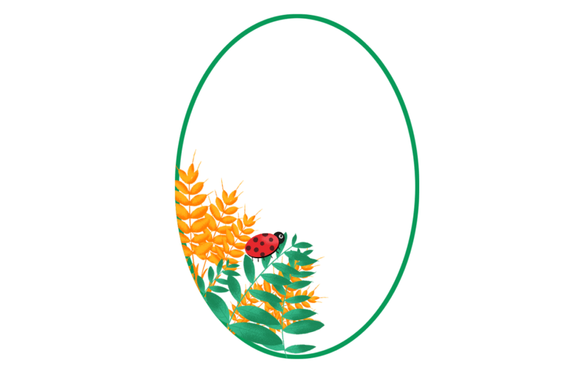 素材卡通芒种边框