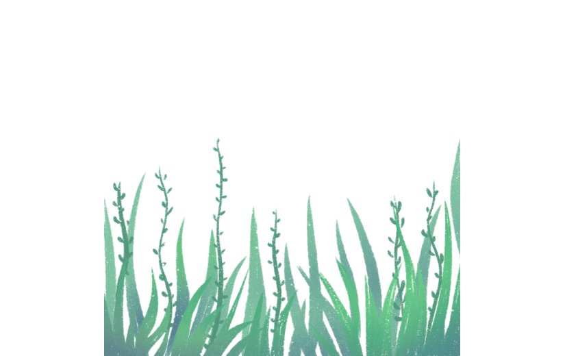 绿色绿植草丛边框