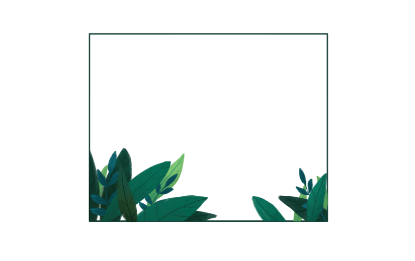 元素材绿植边框草丛