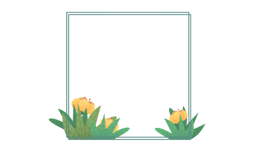 素材花卉边框