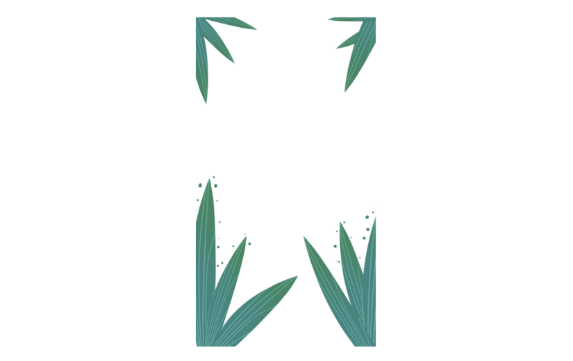 素材卡通绿植边框装饰
