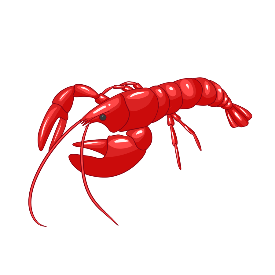 特色美食红色小龙虾