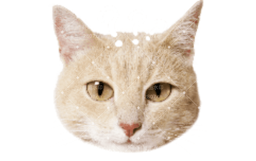宠物橘猫脑袋疑惑可爱动态贴纸