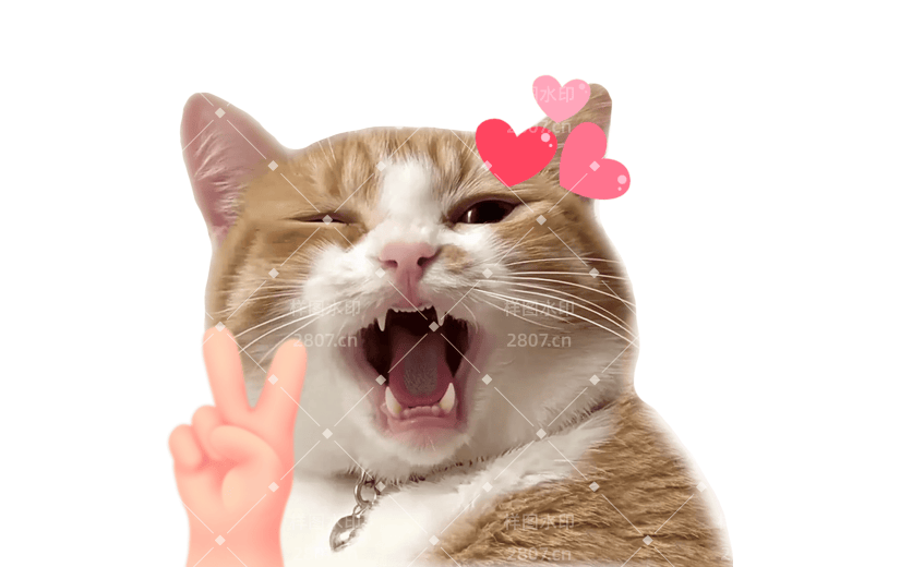 小红书meme搞怪爆款封面动物猫咪贴纸