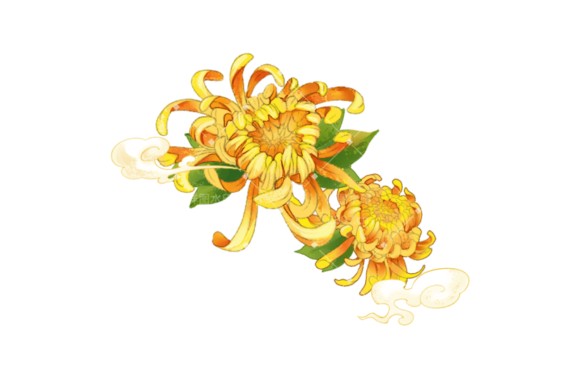 中秋节中秋插画花朵植物元素
