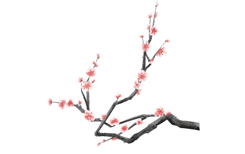 中国风梅花