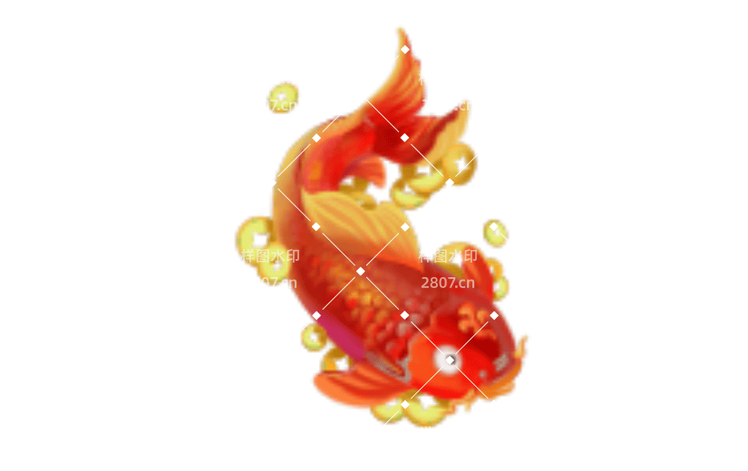 红色华丽的锦鲤插画