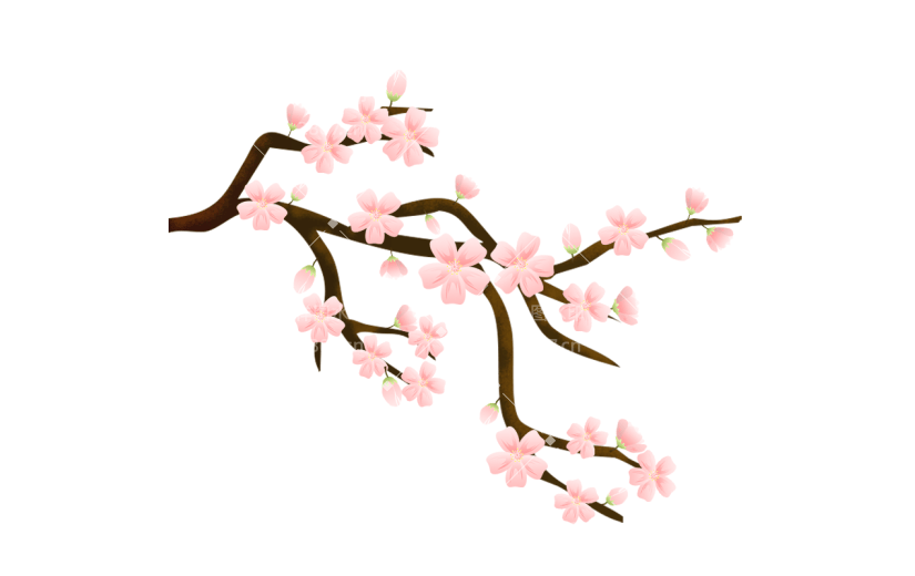 中国风-花枝