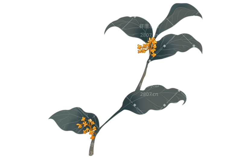 中秋热点贴纸-桂花