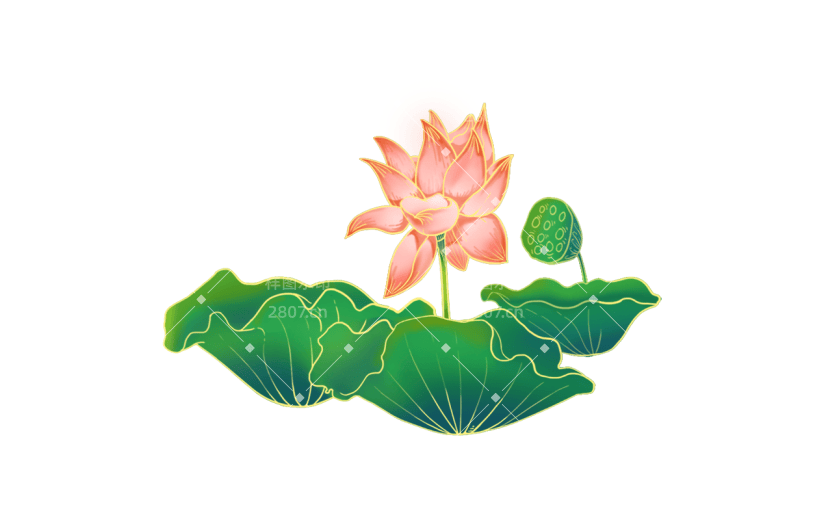 金边中国风氛围向插画-荷花
