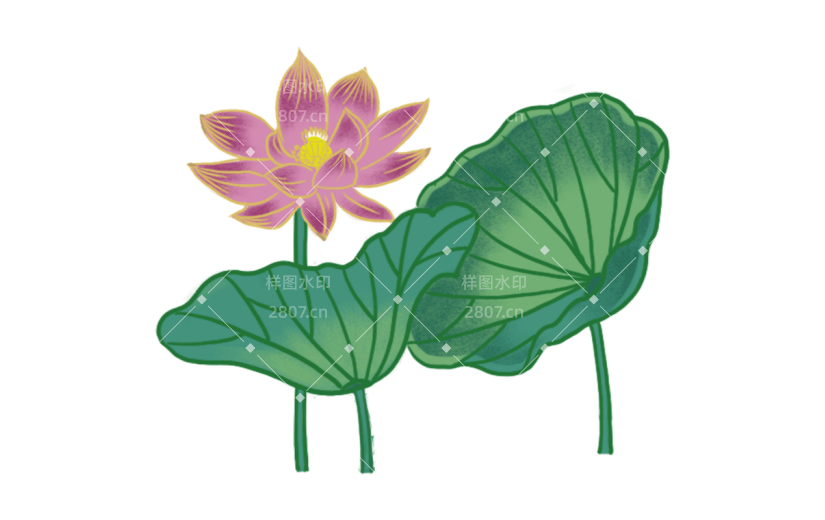 中国风氛围插画-荷花