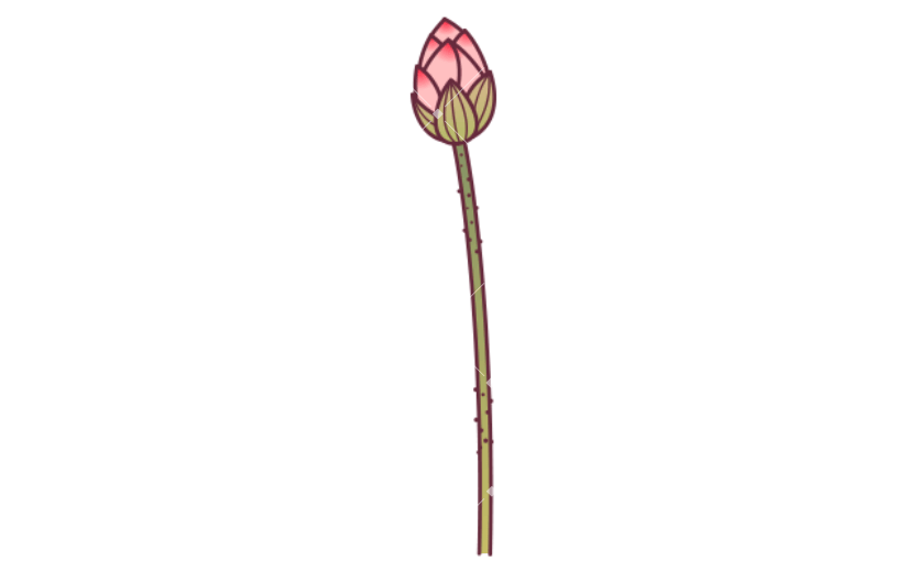 中国风插画-荷花