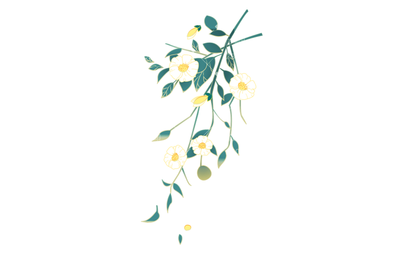 中国风金边插画-花枝