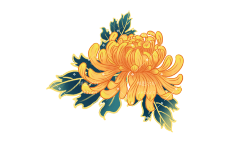 中国风金边插画-菊花