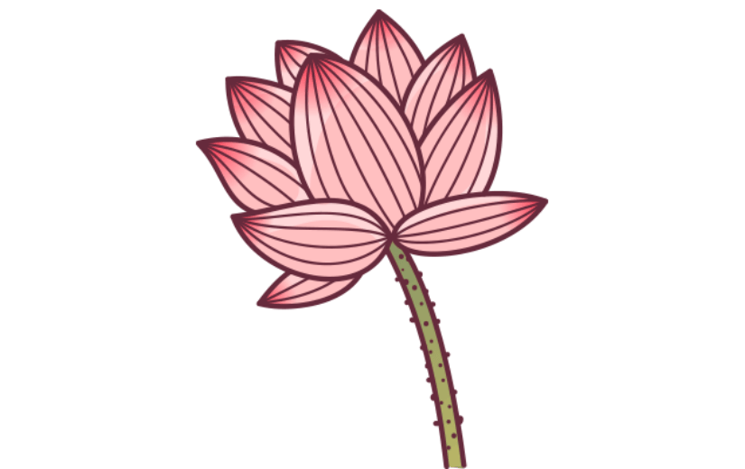 中国风插画-荷花
