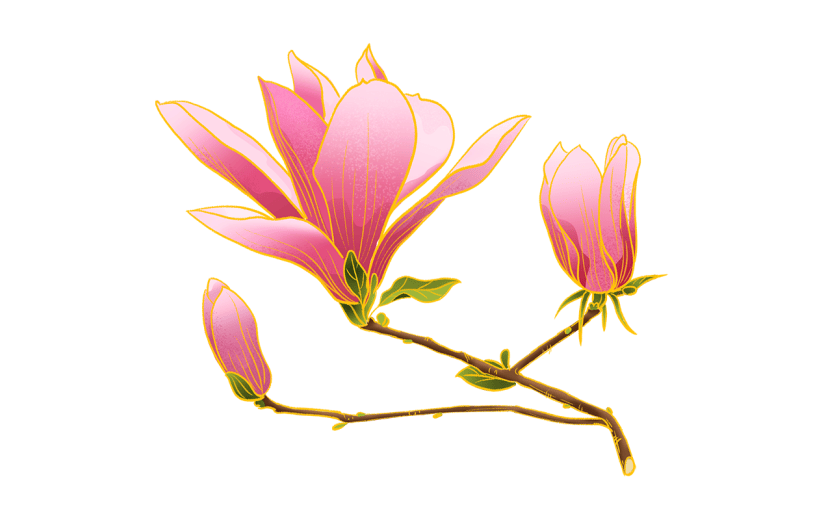 手绘金边中国风-植物