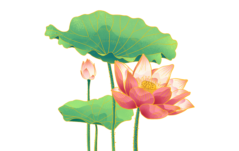 手绘金边中国风-荷花