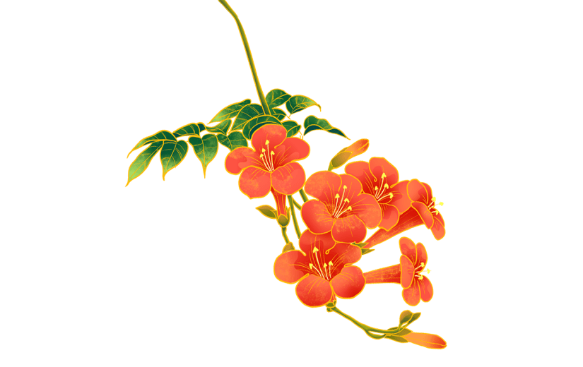 手绘金边中国风-植物