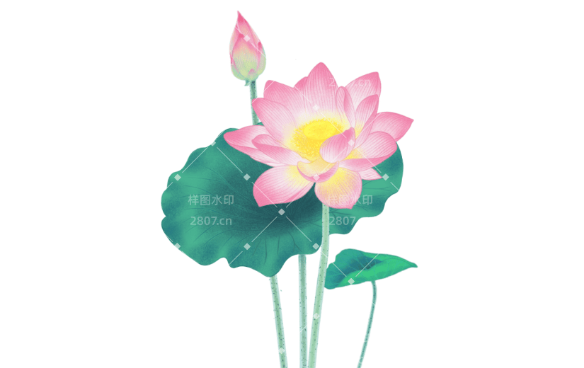 中国风植物元素主题元素