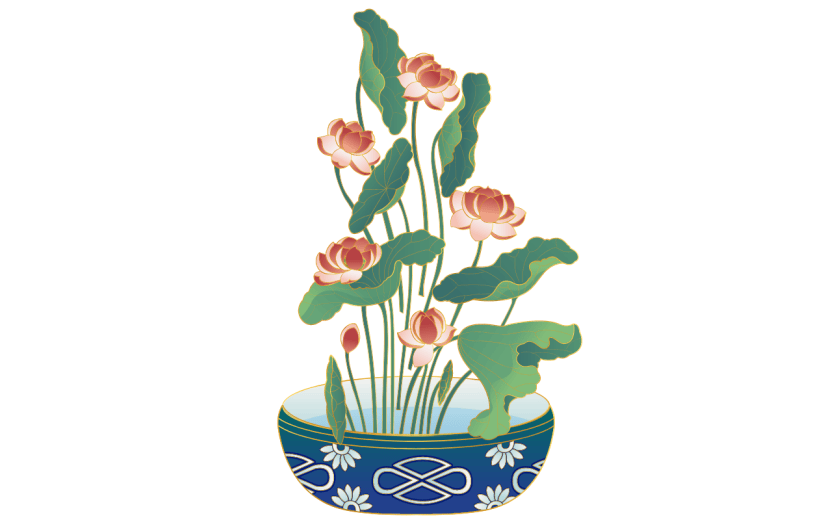 国潮中国风盆栽荷花