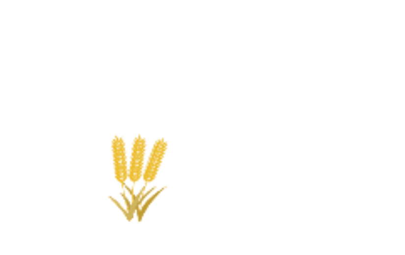 小满节气手绘扁平风动态贴纸
