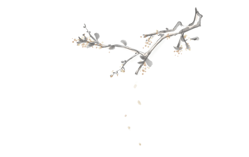 手绘-中秋插画-花枝