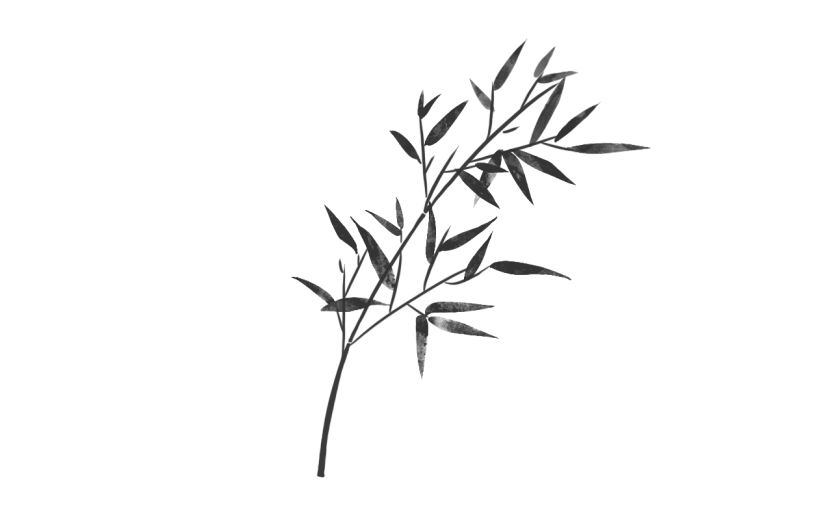 中国风-水墨竹叶植物元素贴纸7