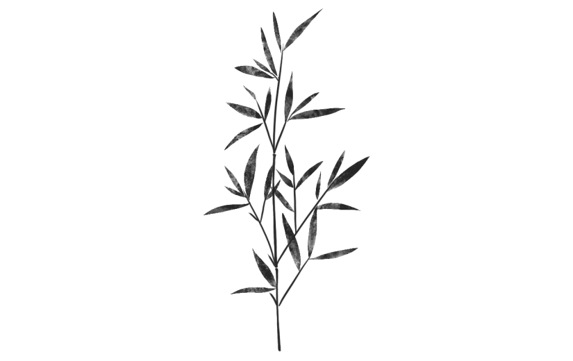 中国风-水墨竹叶植物元素贴纸3