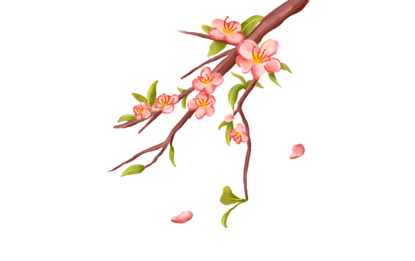 中国风-桃花花枝贴纸元素-桃花花枝