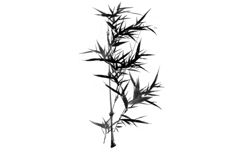 手绘水墨-竹叶元素