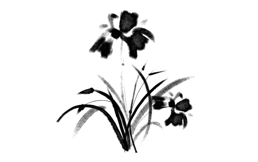 国风水墨元素水墨花朵植物