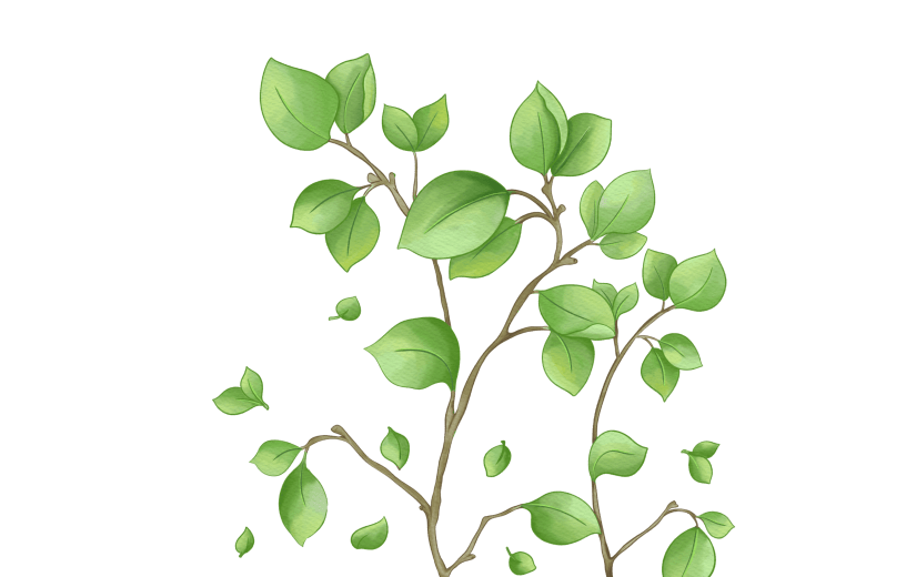 春天绿叶树枝插画元素