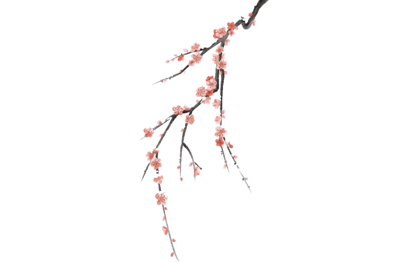 中国风梅花