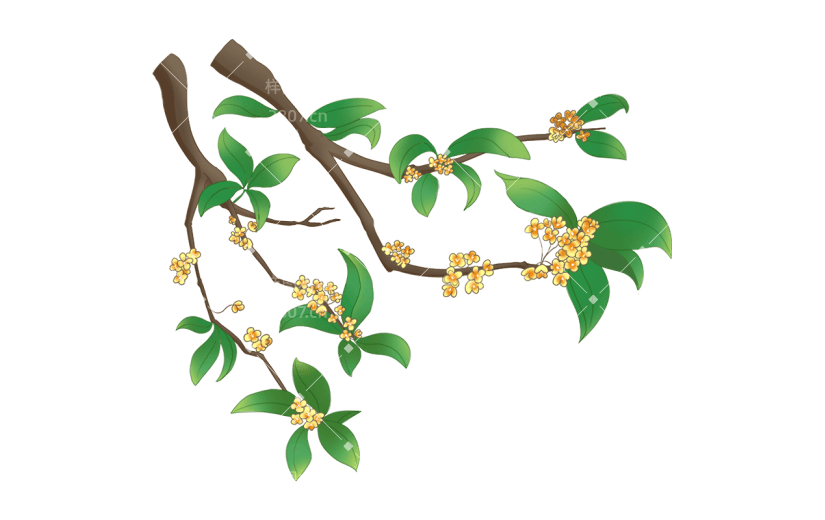 桂花树中国风中秋节元素贴纸   