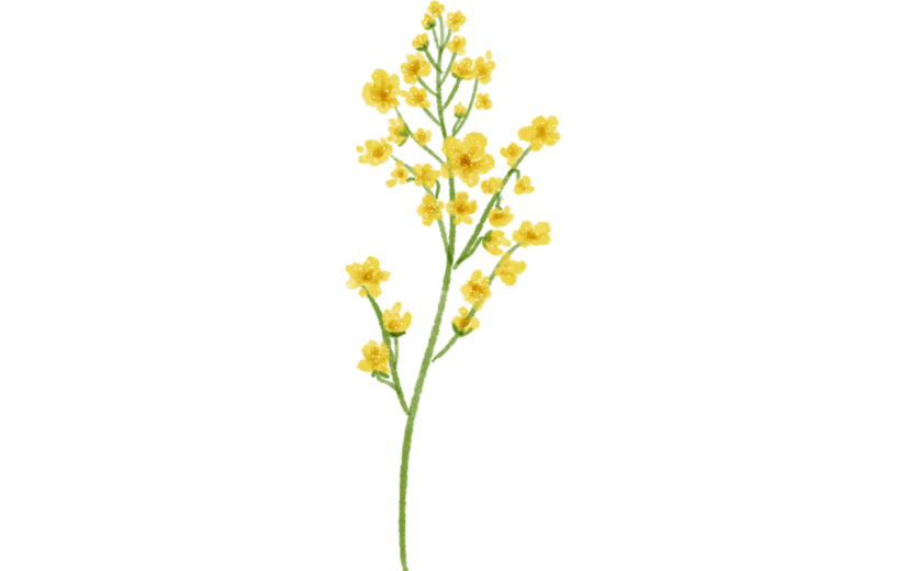 清明节装饰贴纸-花