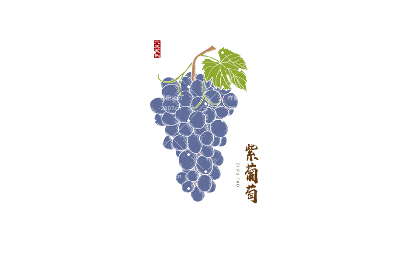 葡萄 手绘葡萄  中国风 版画风 水果