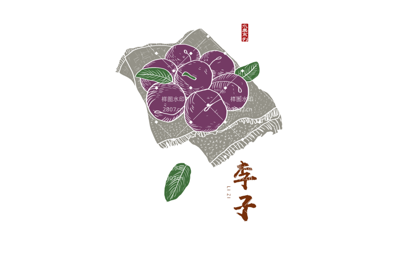 李子 手绘李子 手绘水果 包装用水果 中