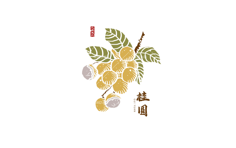 桂圆 手绘桂圆  中国风 版画风 水果